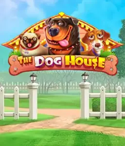 Pragmatic Play's The Dog House Slot, offering a delightful experience among playful pups. Enjoy gameplay elements such as multipliers, aimed at delivering joyful moments. Perfect for pet lovers a cheerful theme and the opportunity to win big.