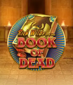 Enter the thrilling world of Book of Dead by Play'n GO, showcasing vivid graphics of Rich Wilde's journey through ancient Egyptian tombs and artifacts. Uncover lost riches with engaging mechanics like free spins, expanding icons, and a gamble option. Ideal for adventure enthusiasts with a desire for exciting finds.